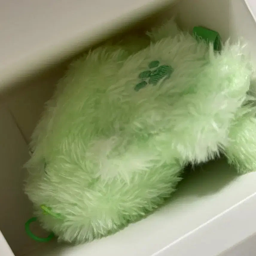 엔시티 위시 컬러 위시돌 초록 쿠리