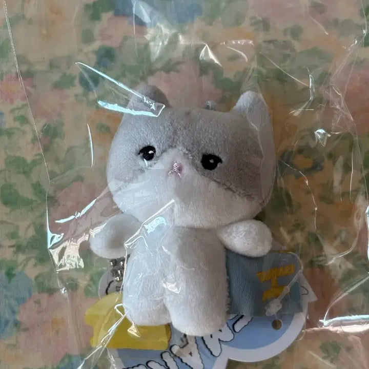 샤이니 태민 미니 꿍이 키링(미개봉)