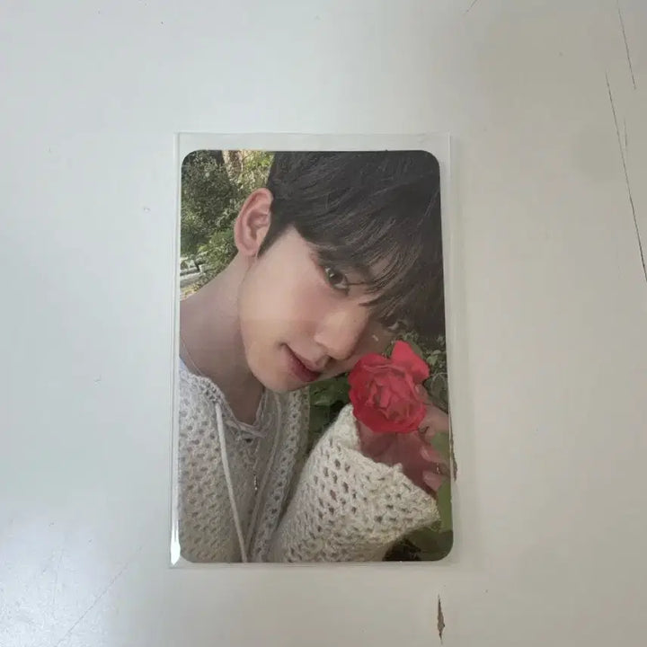 제로베이스원 한유진 장미 포카 양도