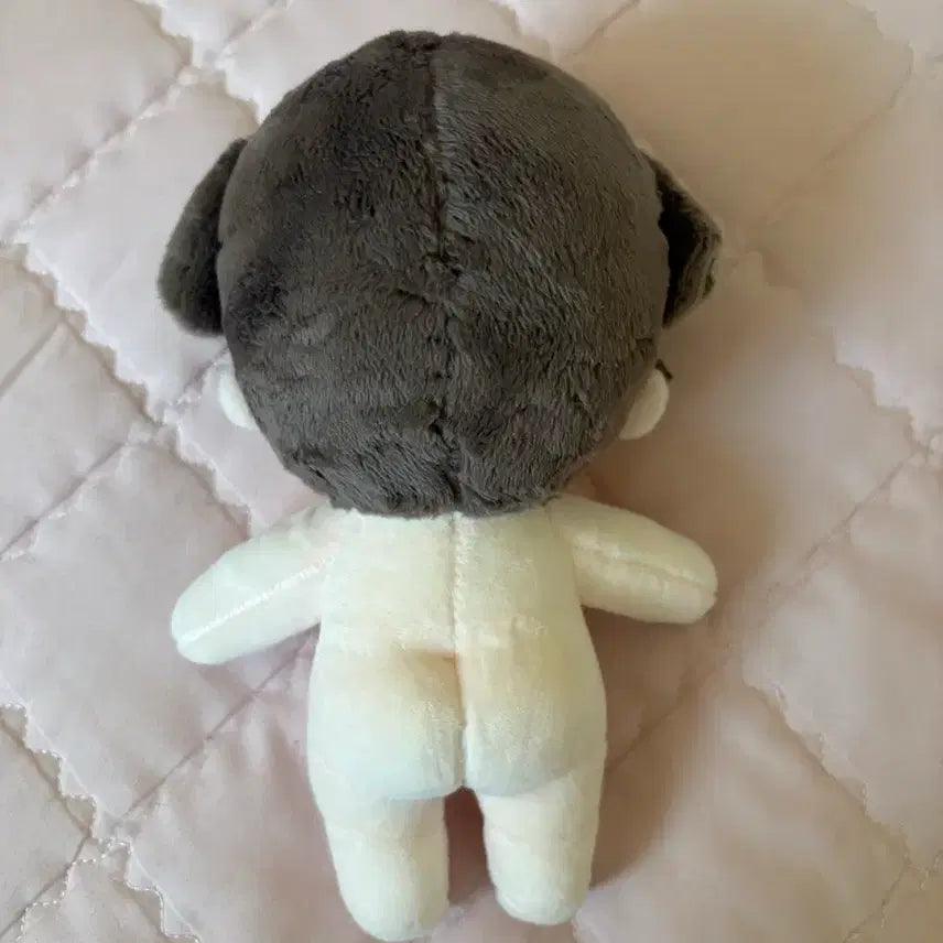 세븐틴 디노인형 찬로버 팝니다