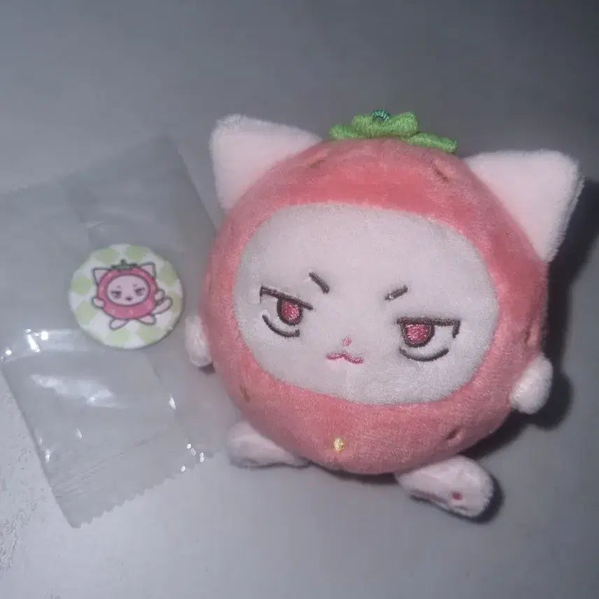 앤팀 니콜라스 인형 딸기샹 양도합니다