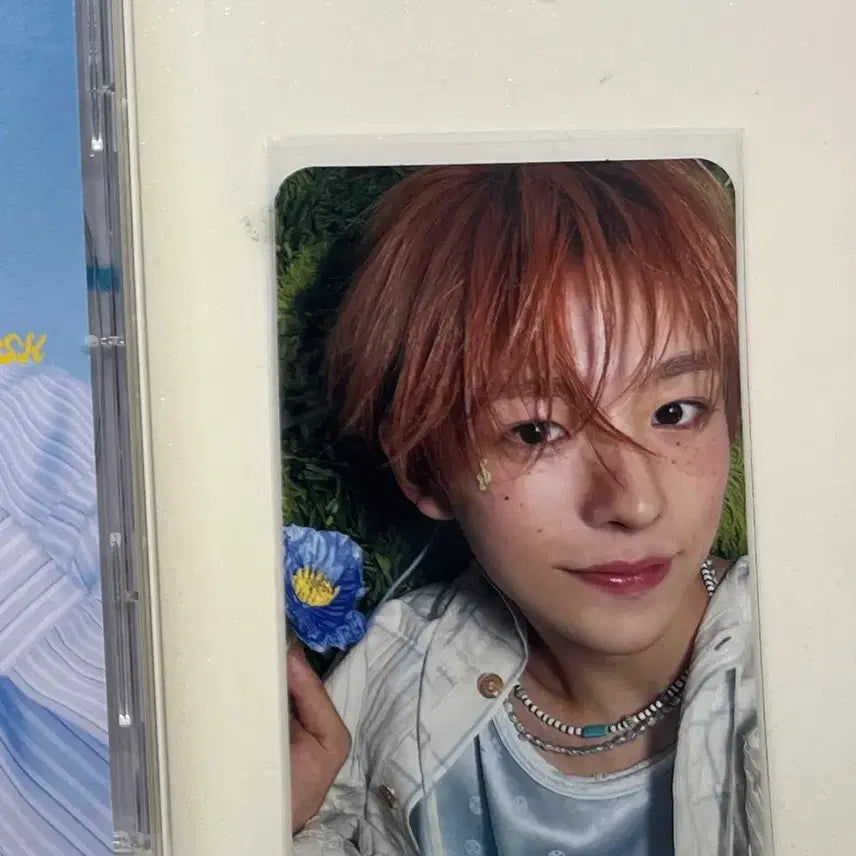 엔시티 위시 유우시 하타치 송버드 일본반 포카