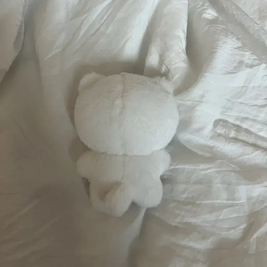 투바투 투모로우바이투게더 연준 인형 앙바투 앙쭌이