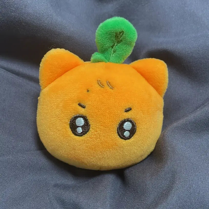 엔시티 드림 런쥔 인형 귤쮜니