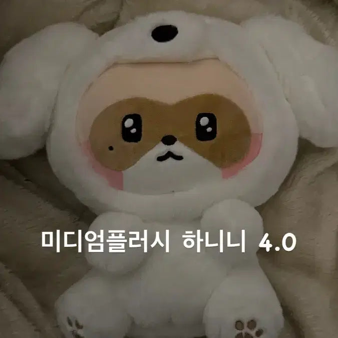 미디엄플러시 하니니 양도 박스포함