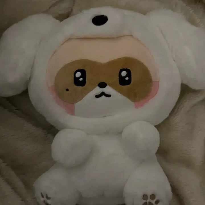 미디엄플러시 하니니 양도 박스포함