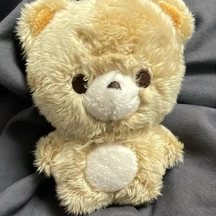 엔시티 해찬 인형 쨘곰이 판매해요~!