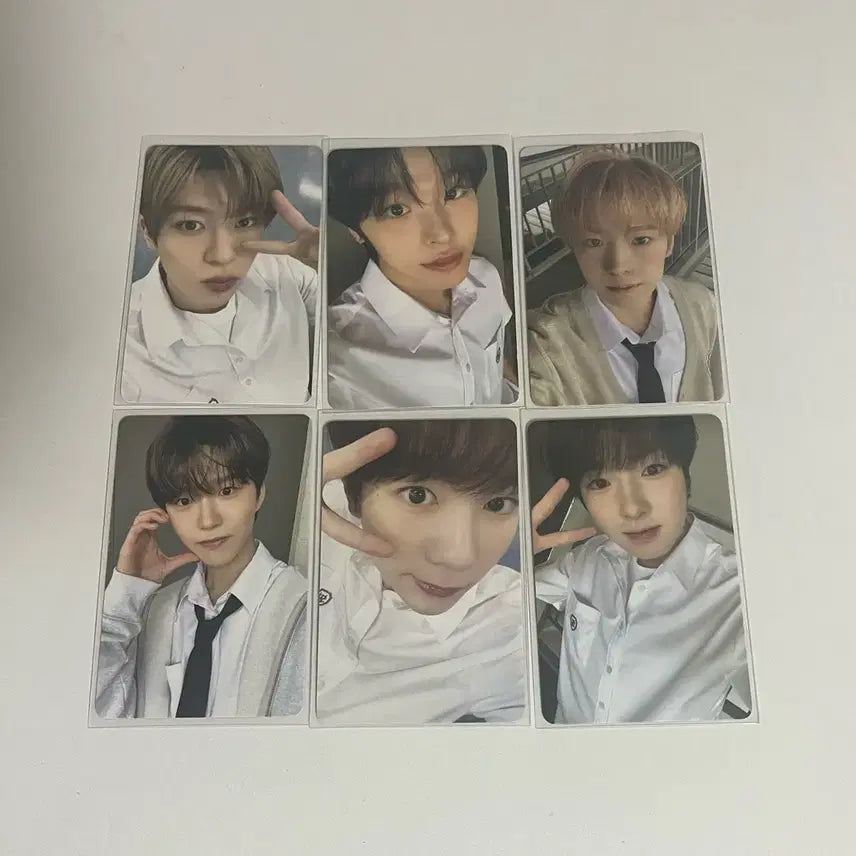 엔시티위시 스쿨오브위시 입장 포카 일괄 판매