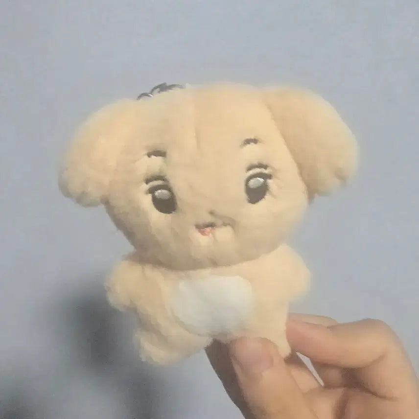 금준현 10cm 인형 금절미 양도합니다