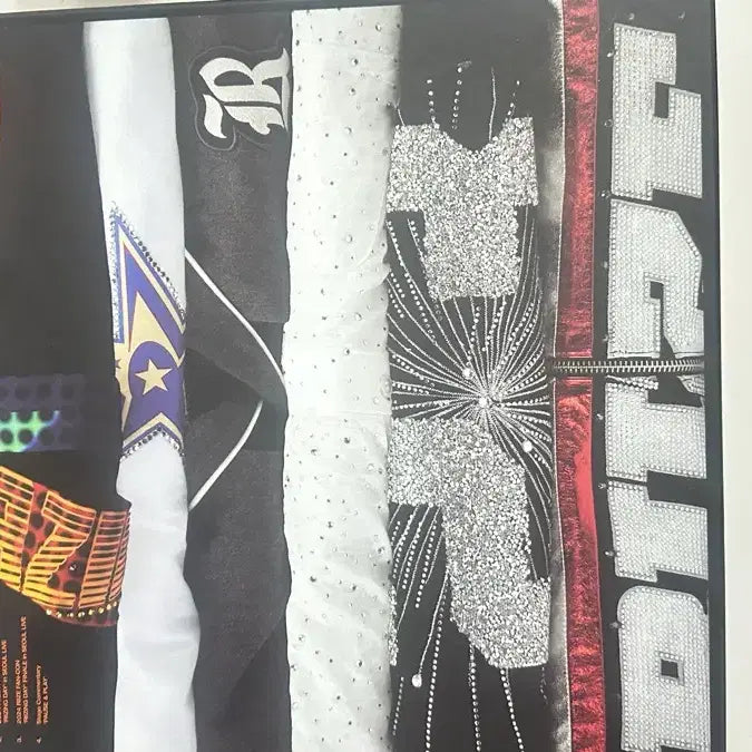 라이즈 블루레이 개봉 (구성품 다 있음)