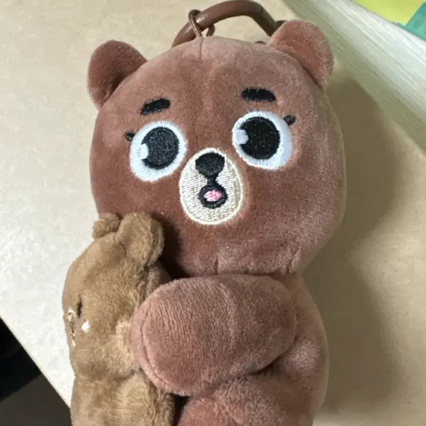 데이식스 데니멀즈 마그넷 플러시 방