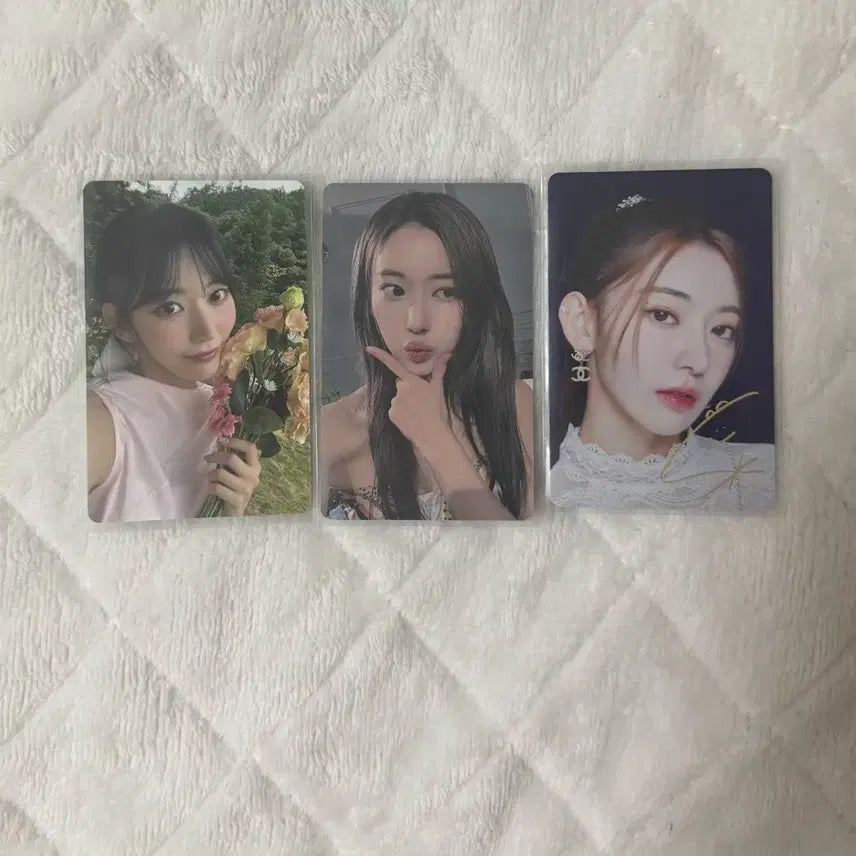 르세라핌 사쿠라 포카 위버스 디아이콘 일괄