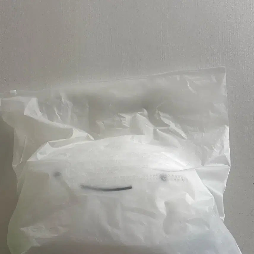 보넥도 운학 운아기쿠션