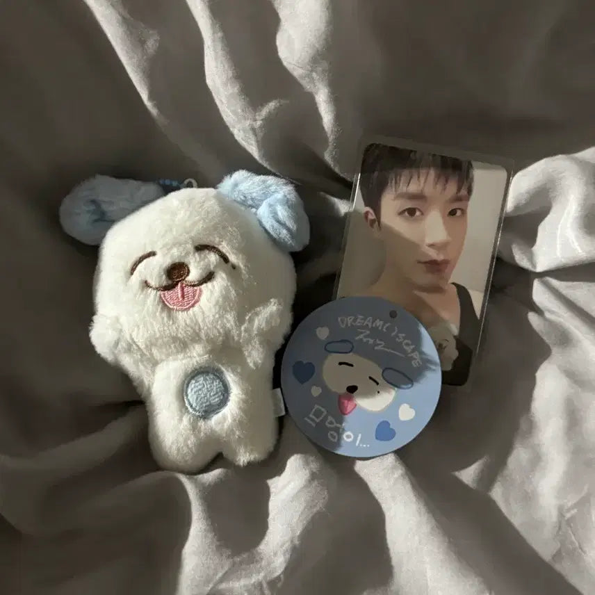 엔시티 드림 제노 므엉이 양도