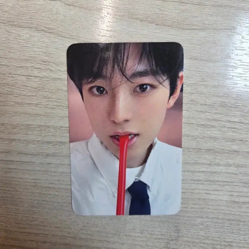 엔시티위시 유우시 공차 포카 스테디 위드뮤 미공포