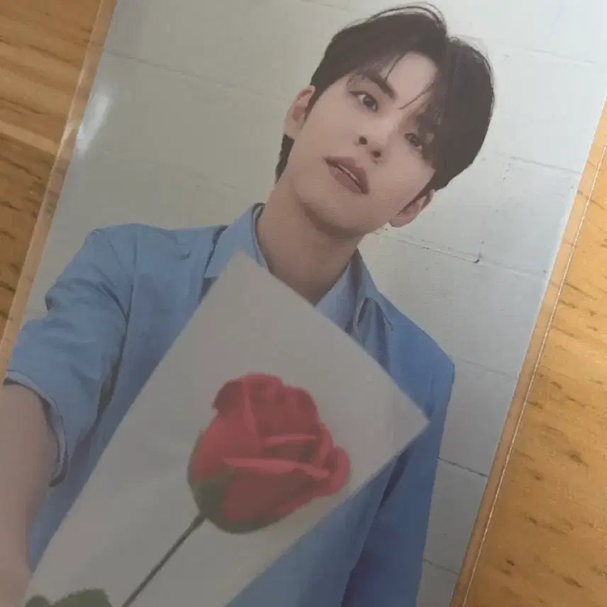 필끼 2019 윙크 필끼 데니멀즈 원필 인형 더데케이드 5만원 포카 특전