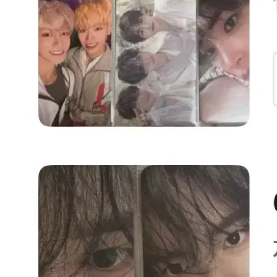 제로베이스원 제베원 포카 일괄