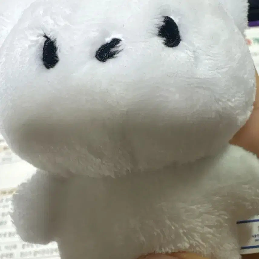 북극쩡 엔시티 일이칠 정우 인형 판매