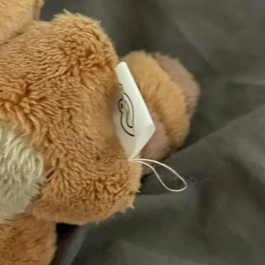 더보이즈 선우 쪼구리 인형