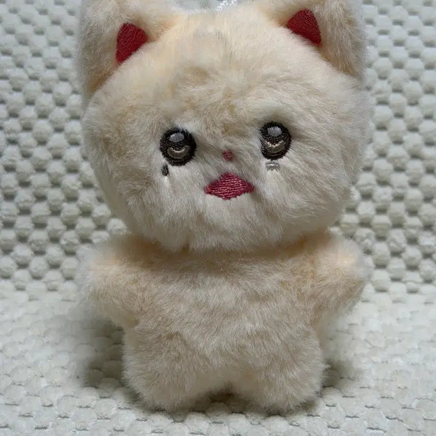 SF9 에스에프나인 인성 10cm 인형 성냥이