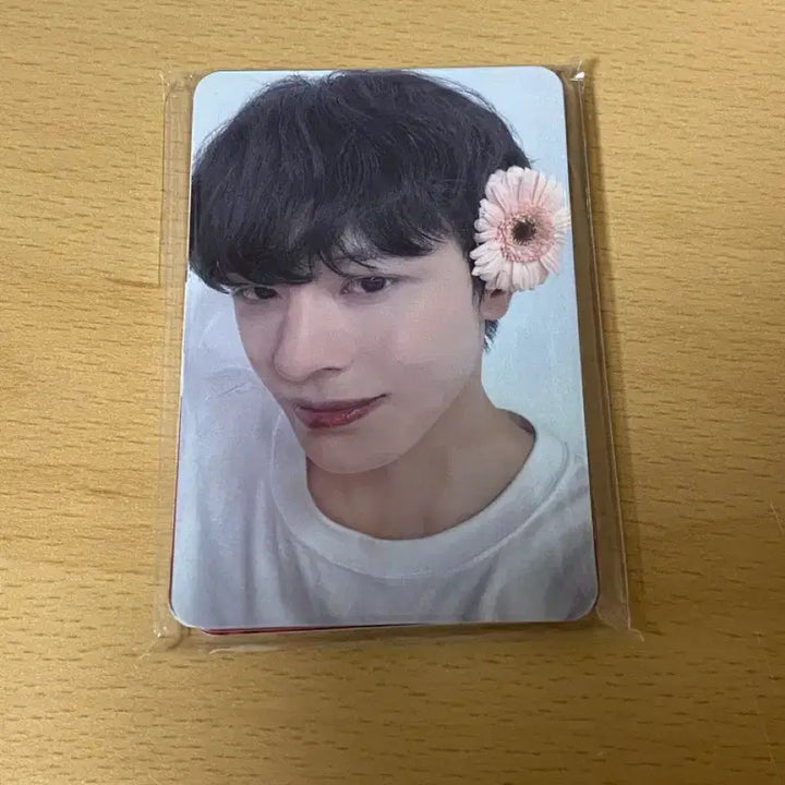 보플 홈레이스 밋그 입장 포카 양도 보이즈플래닛 c 밋앤그릿