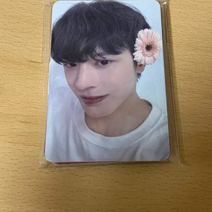 보플 홈레이스 밋그 입장 포카 양도 보이즈플래닛 c 밋앤그릿