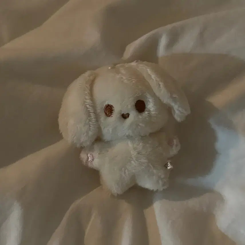 급처)) 엔시티 정우 인형 쩡블리