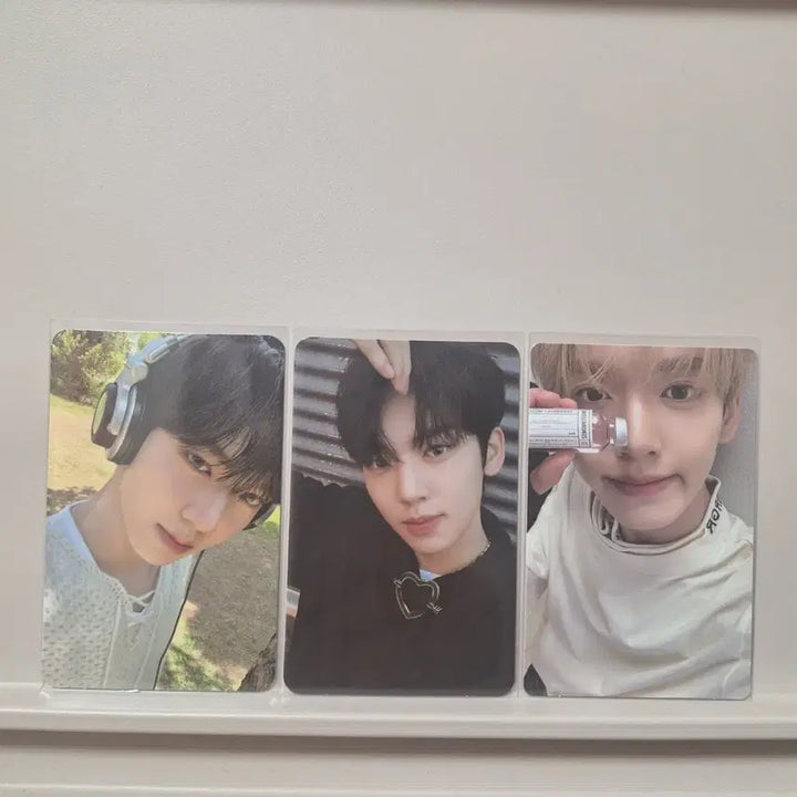 제베원 한유진 포카 일괄 처분 제로베이스원 제베원포카 인블룸포카