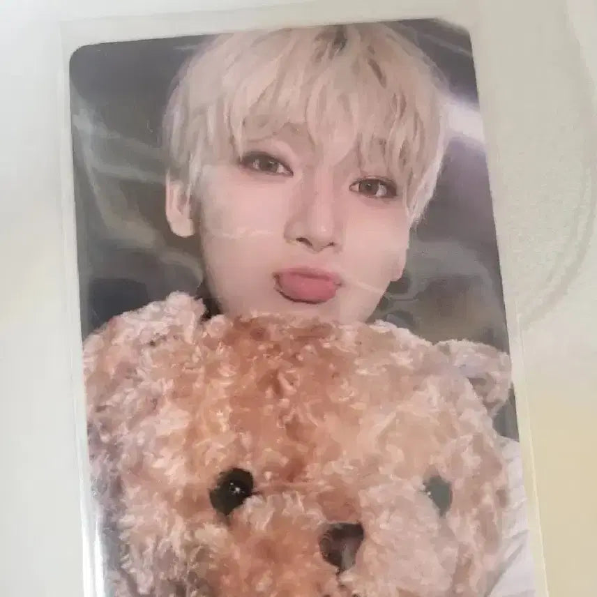 엔하이픈 이즈위 곰돌이 선우 포카