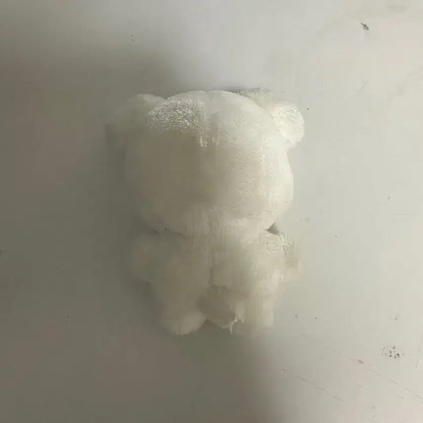 에스파 윈터 인형 직직이 구버전 양도