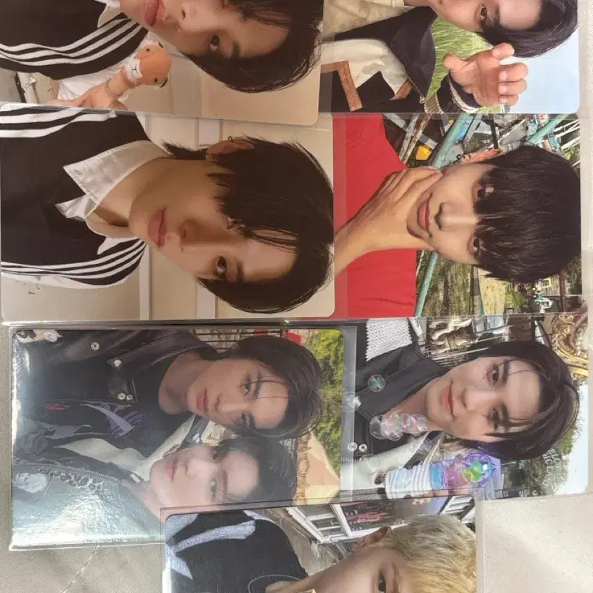 보넥도 포카 일괄