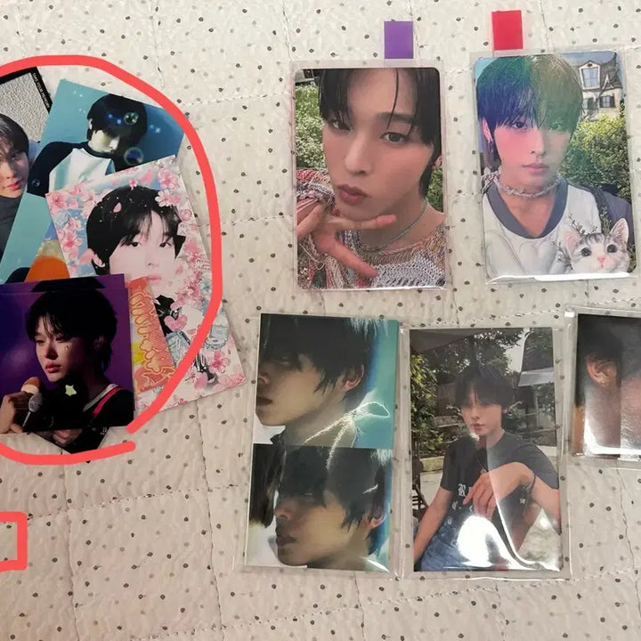 NCT WISH엔시티위시 컬러 포토북앨범 리쿠 포카 특전 포카 + 비공굿