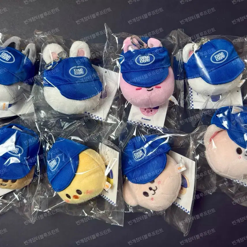 일괄) SKZ 스트레이키즈 KARMA 스키주 볼캡 플러쉬