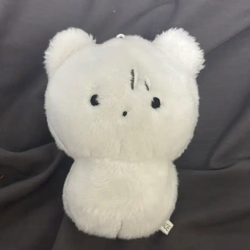 보이넥스트도어 보넥도 운학 운아곰 인형 판매