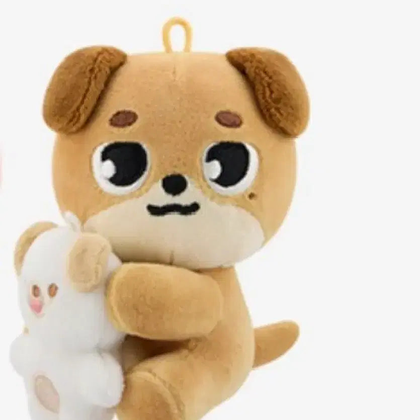 데이식스 마그넷 인형 돈