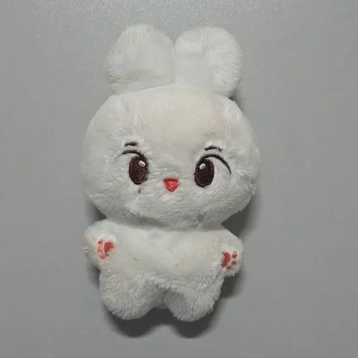 세븐틴 정한 인형 밀크쫑 싸게 양도합니다