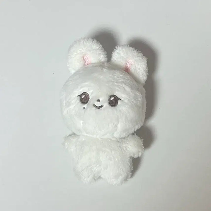 세븐틴 정한 인형 쫑쫑코미