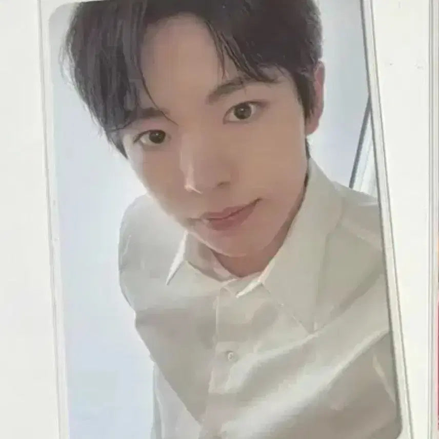 nct wish 엔시티위시 유우시 steady sm 럭드 포카 양도