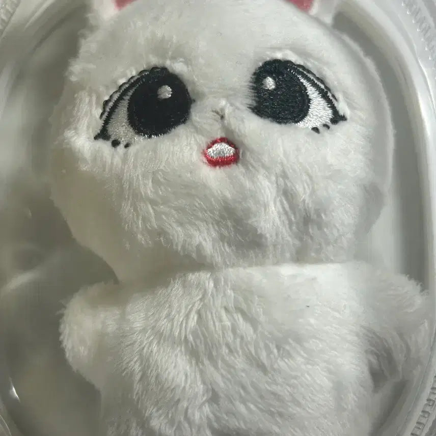 에스쿱스 인형 쿱끼