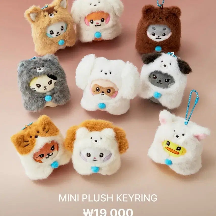 제베원 태니니 미니 플러시 키링
