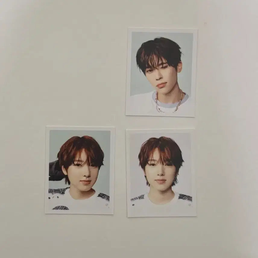 엔시티위시 컬러 팝업 증사 nct wish 양도 사쿠야