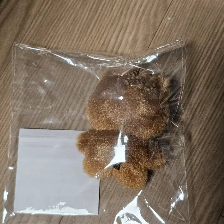 데이식스 인형 쁘띠멀즈 플러시 미니 성진 방 미개봉 새상품