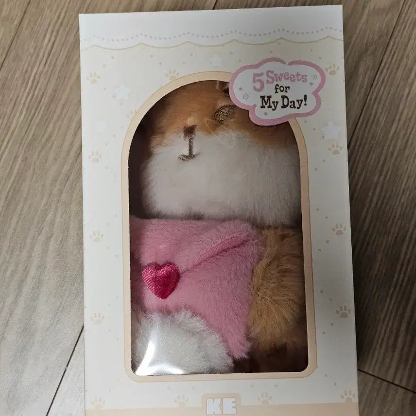 데이식스 엠디 쁘띠멀즈 플러시 보이스 보이스인형 영케이 케 미개봉 새상품