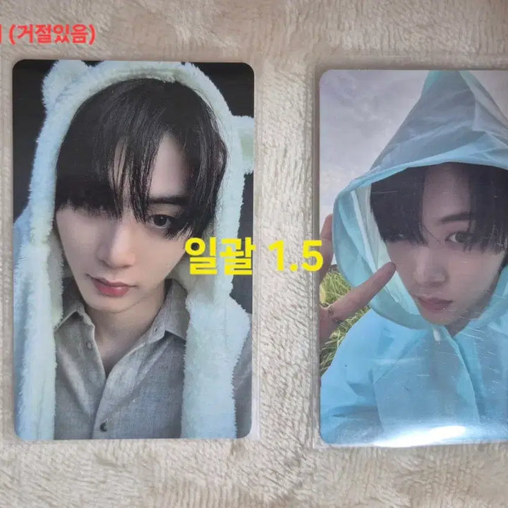 보넥도) 포카 태산 오프라인 성호