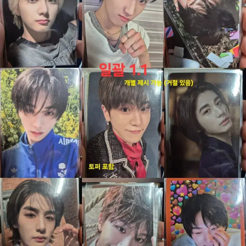 보넥도) 포카 태산 오프라인 성호