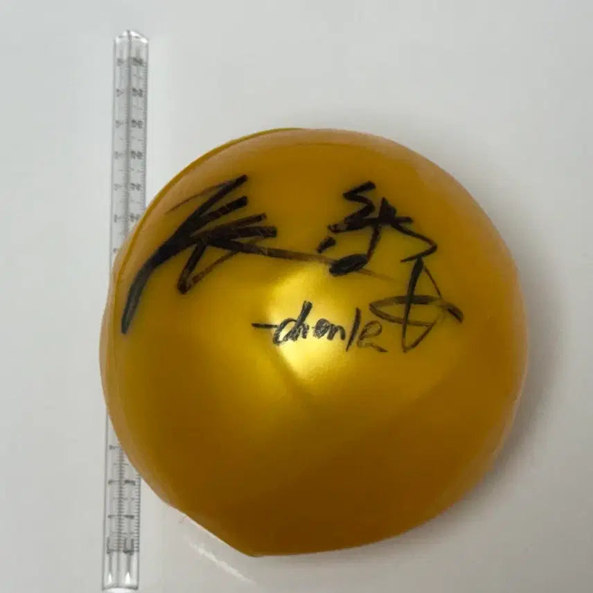 엔시티드림 19년 더드림쇼 천러 싸인볼