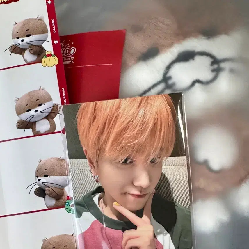 (현물 당일배송) 달링 인형+포카+네컷 쁘넥도 키링 리우 일괄