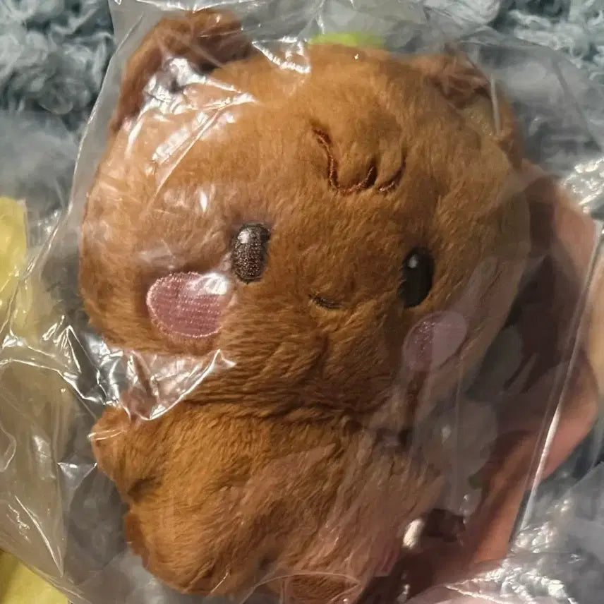 에이티즈 애니티즈 인형 양도