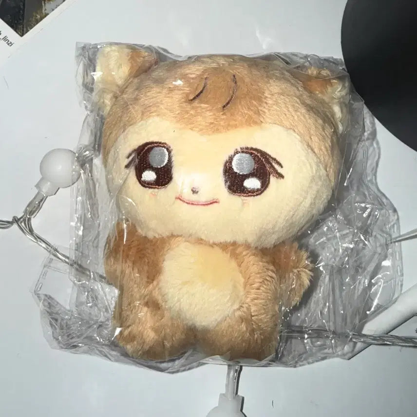 숑밤이 양도해요 성찬 인형 라이즈