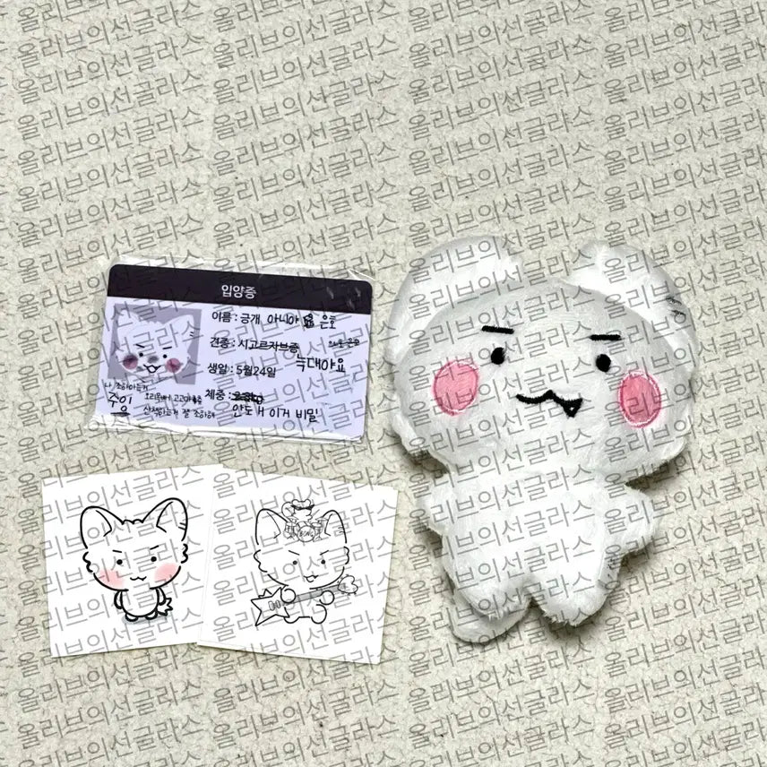 플레이브 은호 인형 긍개